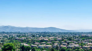 We are moving to California.
